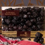 AJWA AL MADINA DATES 500G